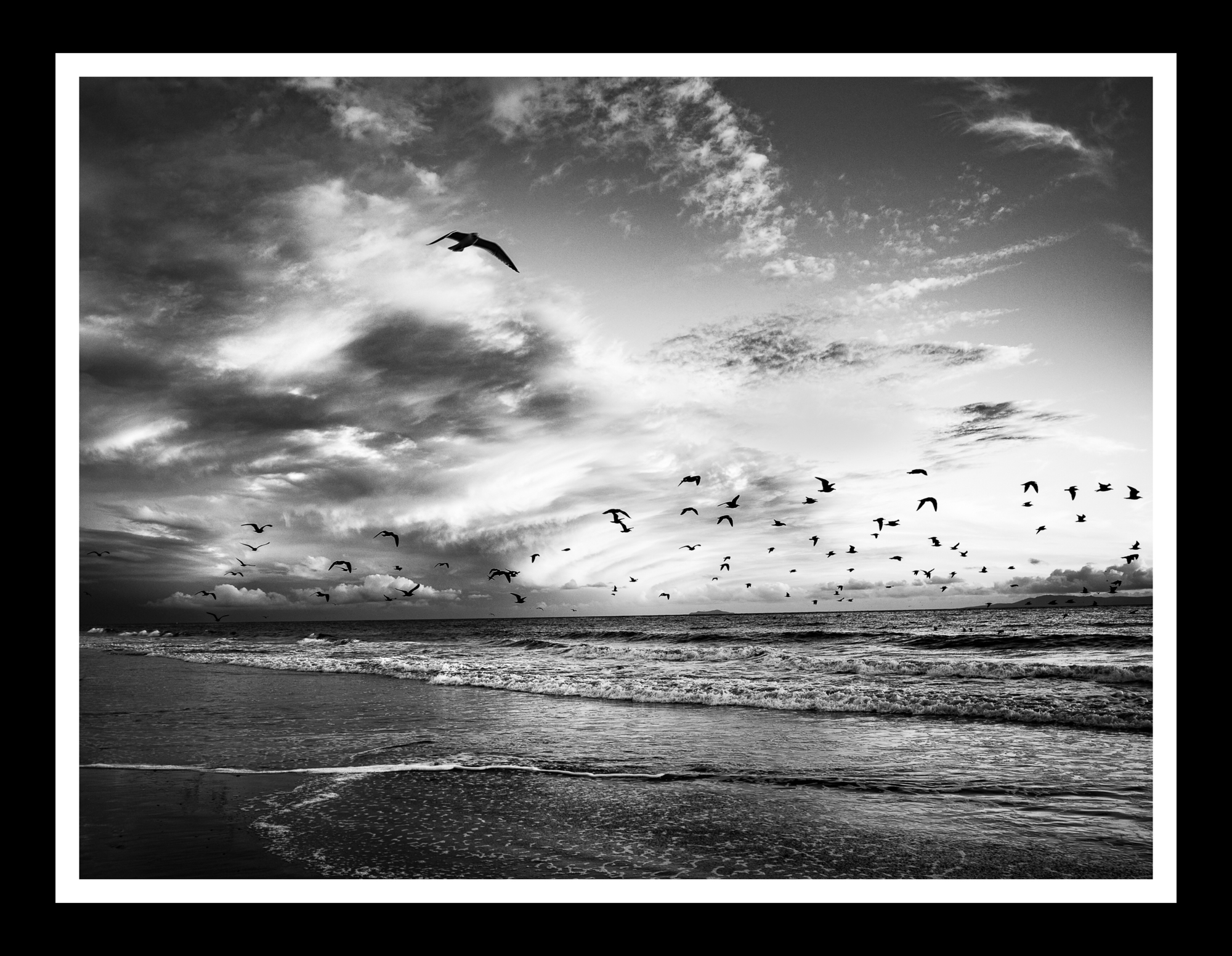 Along the Tide (Limited 1 of 11)