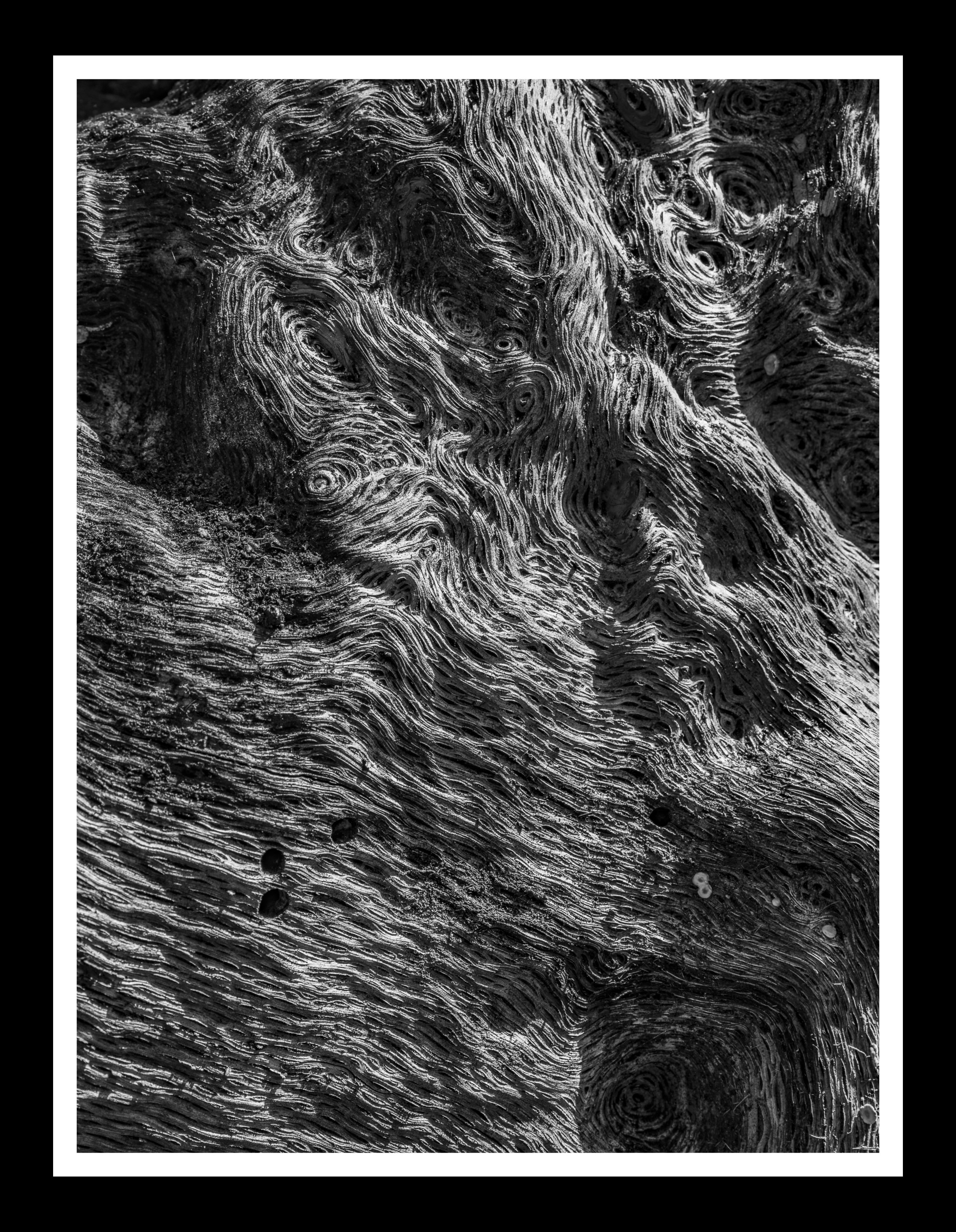 Texture Studies Two (Limited 1 of 16)